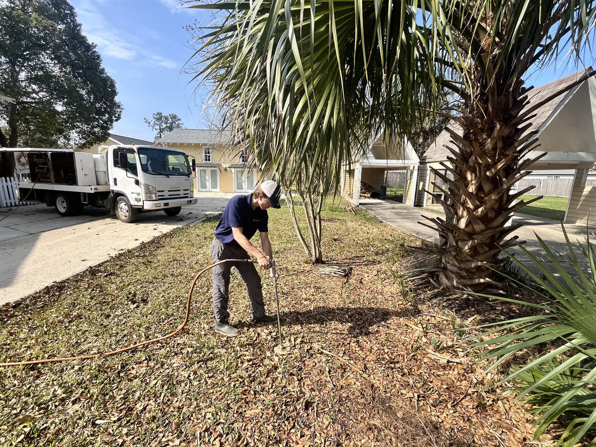 Expert spraying for pest around tree