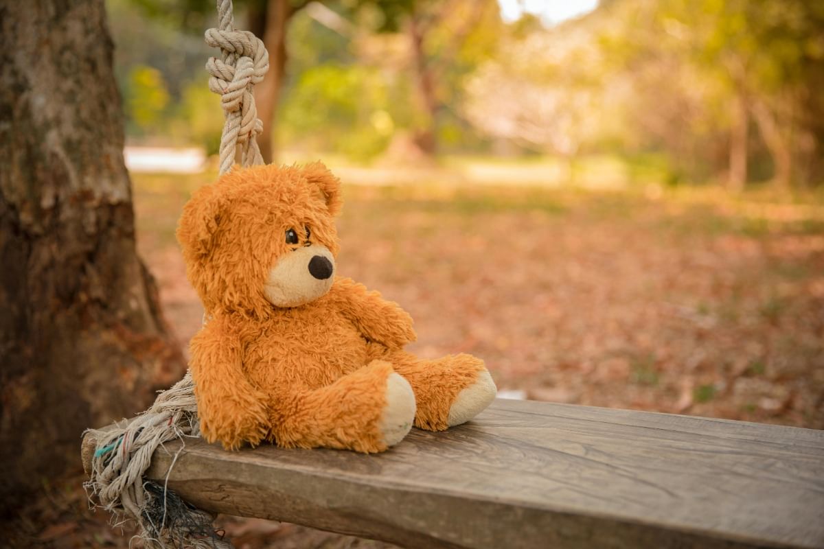Teddy Bear sitting on wooden swing