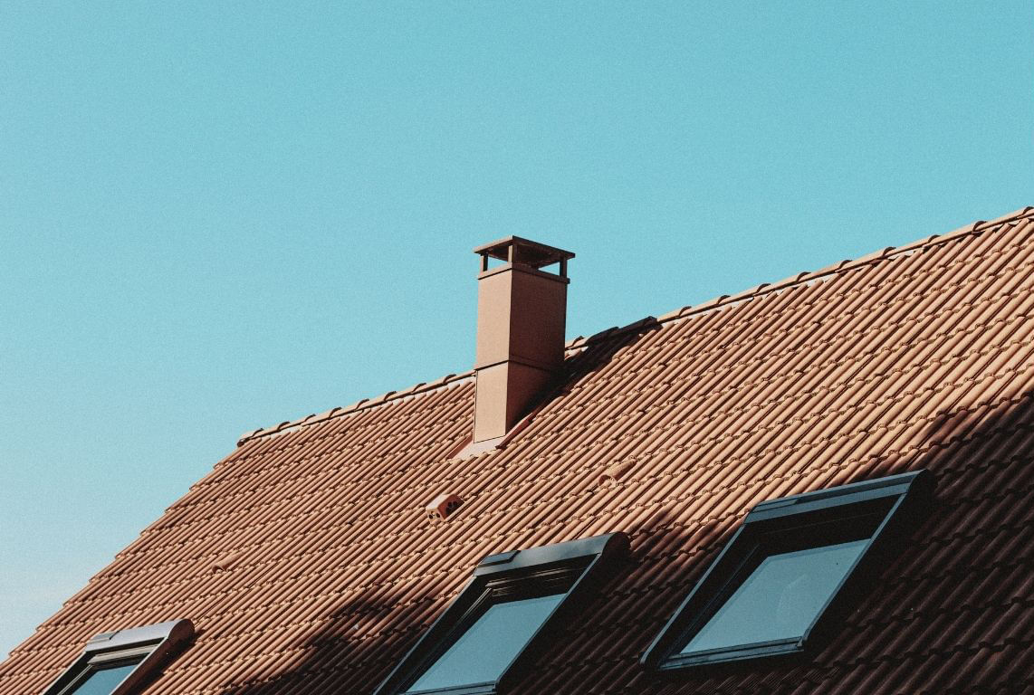 brown roof covered in plants