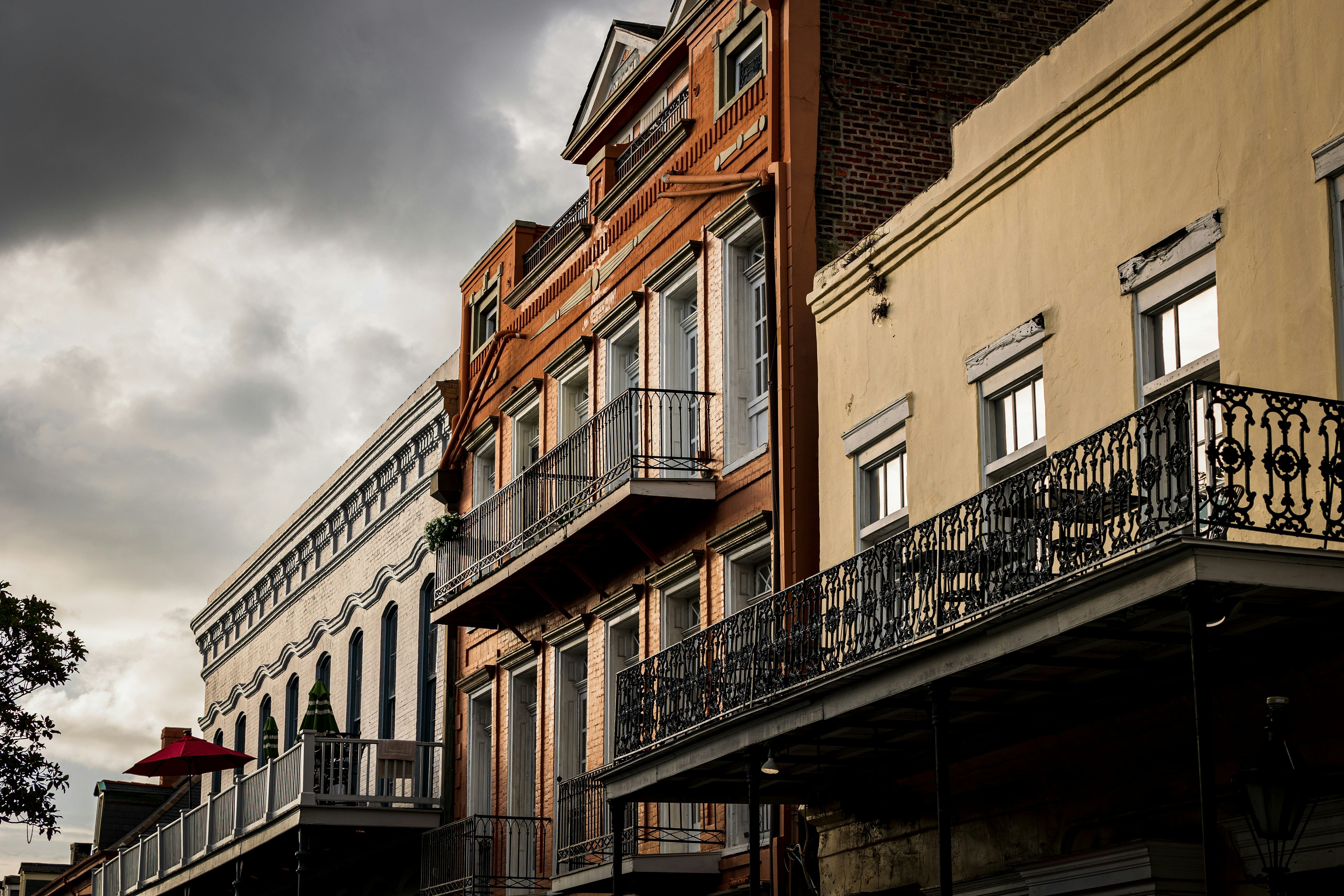 New Orleans Vampire History
