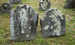 ust-see New Orleans cemeteries